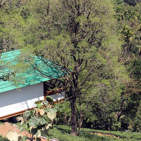 Vythiri Hills Hotel Exterior photo