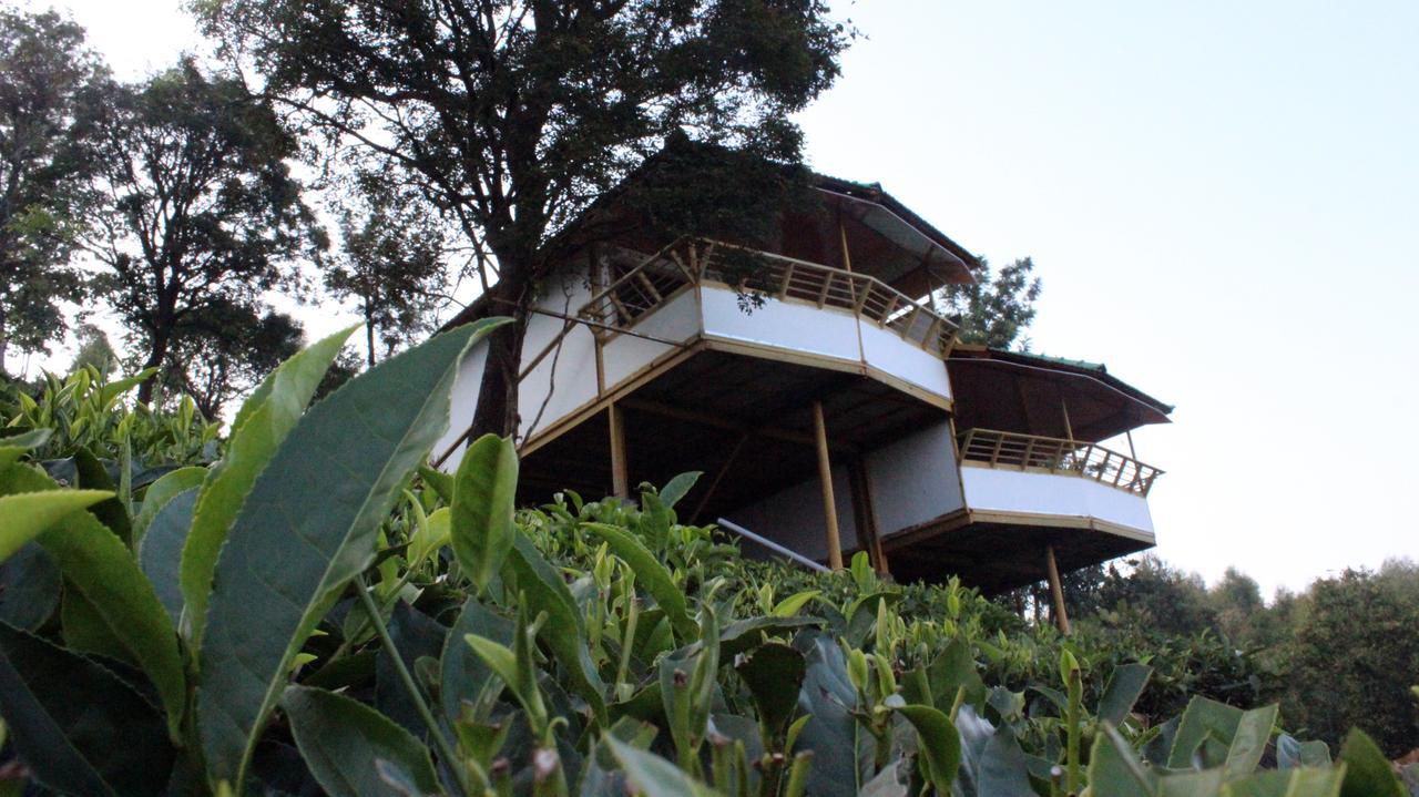 Vythiri Hills Hotel Exterior photo